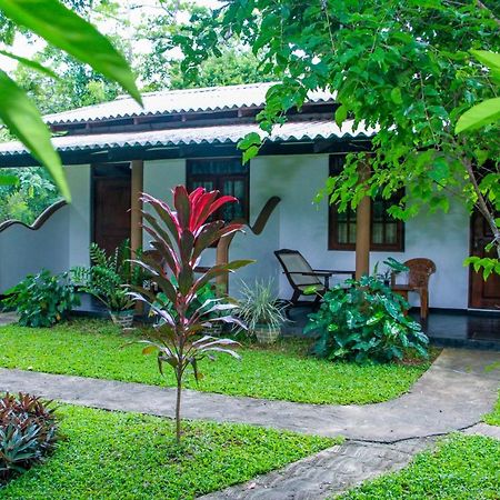 Nimsara Lodge シギリヤ エクステリア 写真