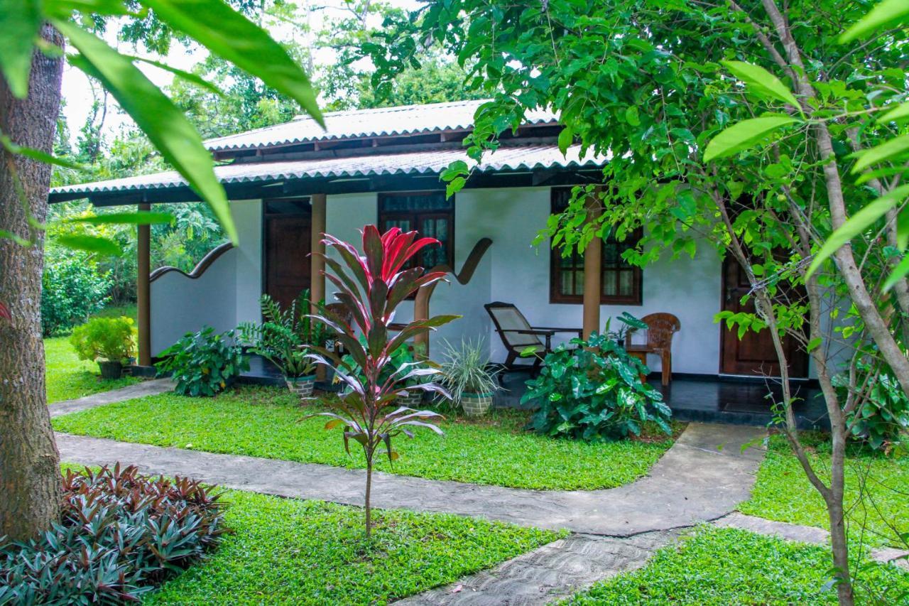 Nimsara Lodge シギリヤ エクステリア 写真