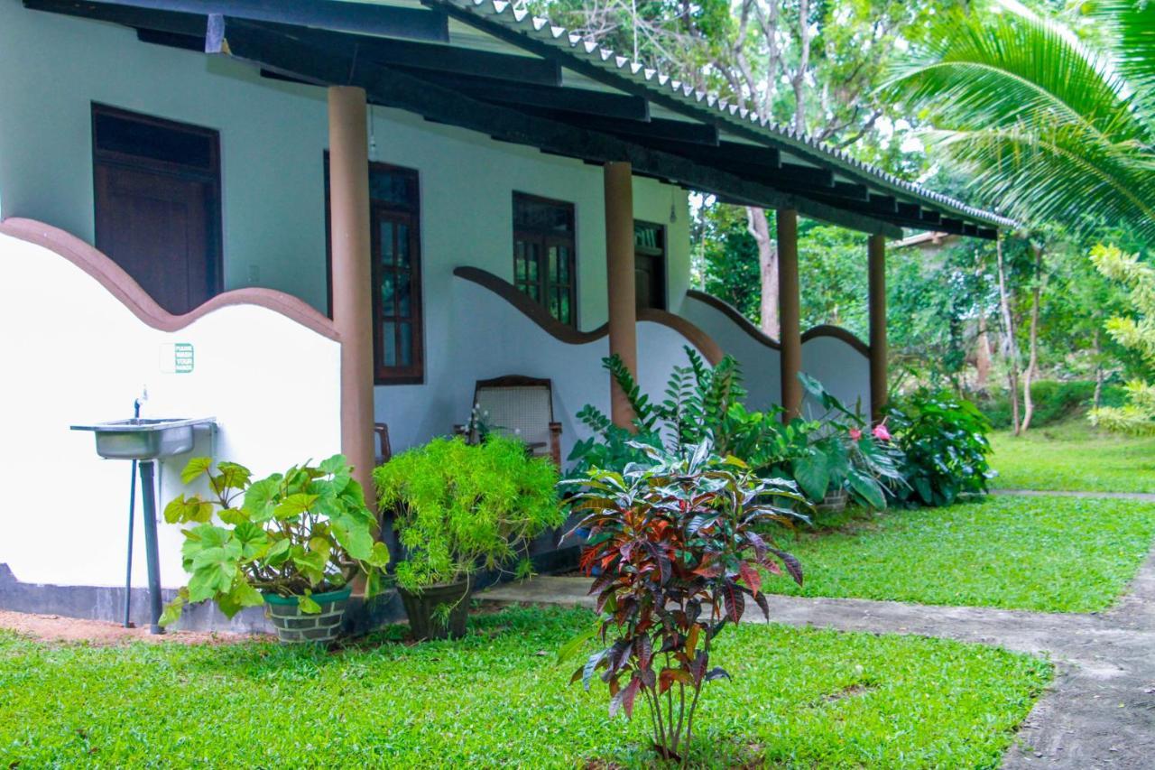 Nimsara Lodge シギリヤ エクステリア 写真