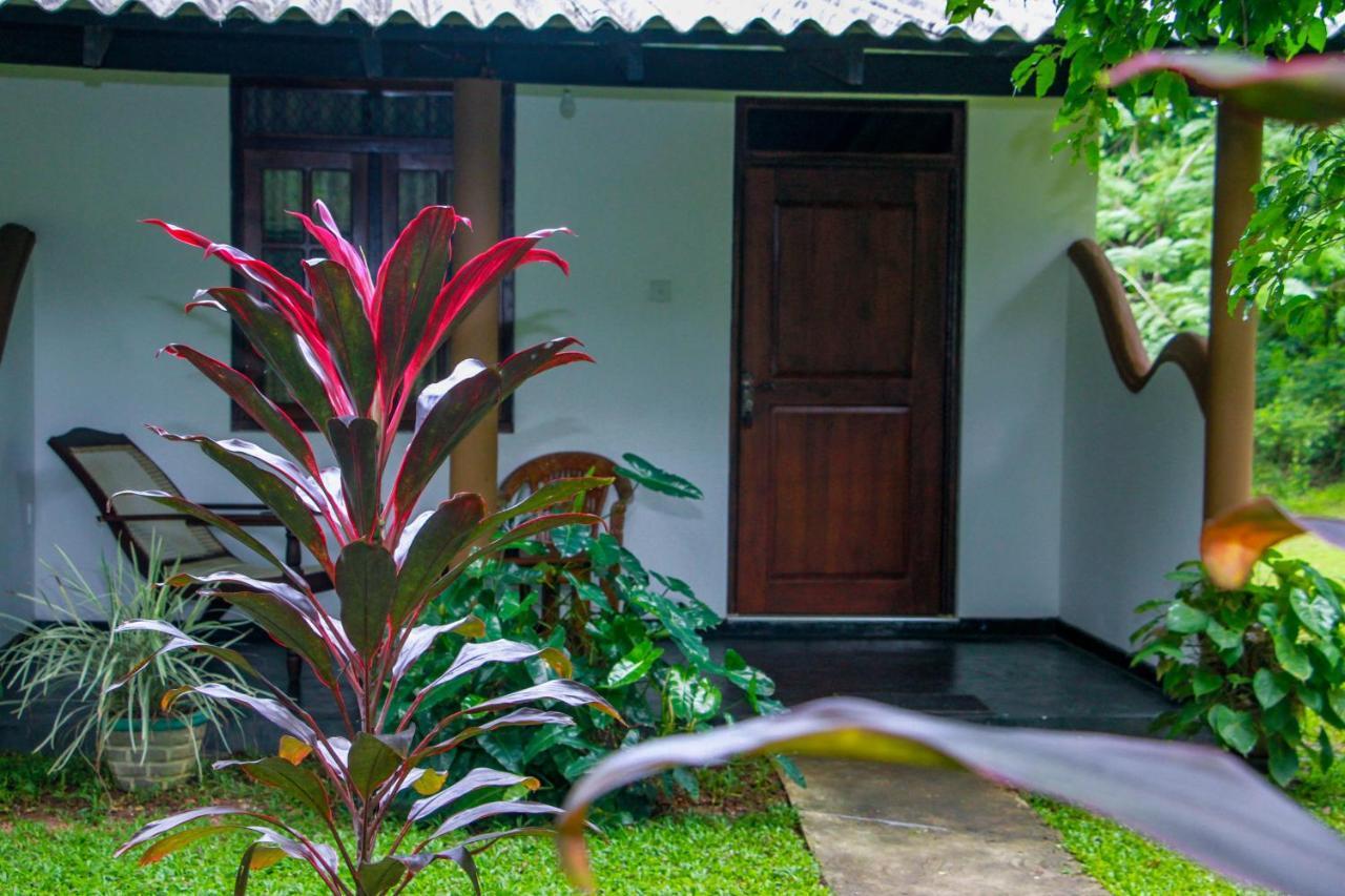 Nimsara Lodge シギリヤ エクステリア 写真