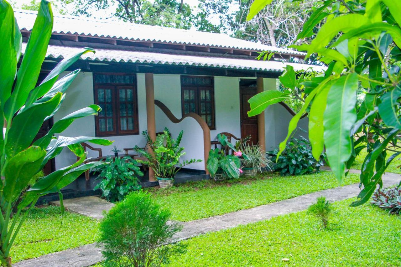 Nimsara Lodge シギリヤ エクステリア 写真