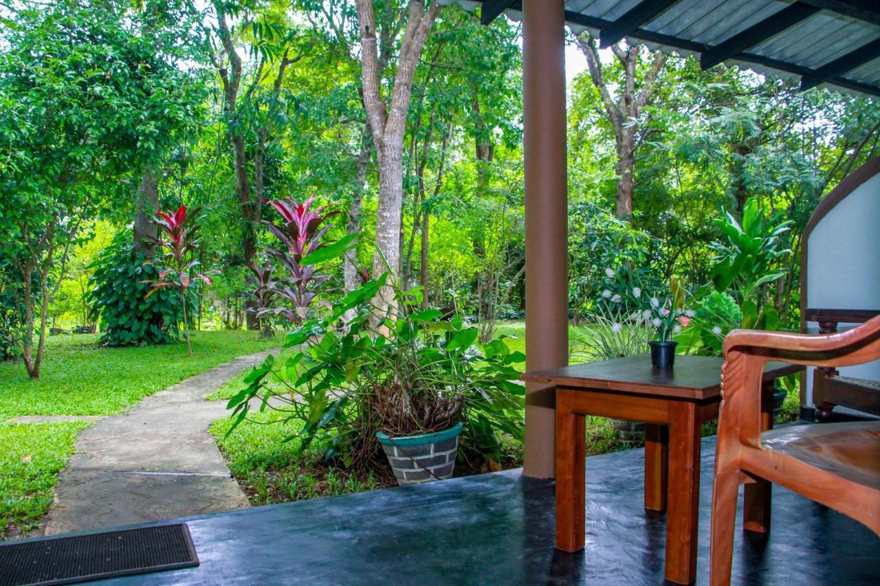 Nimsara Lodge シギリヤ エクステリア 写真