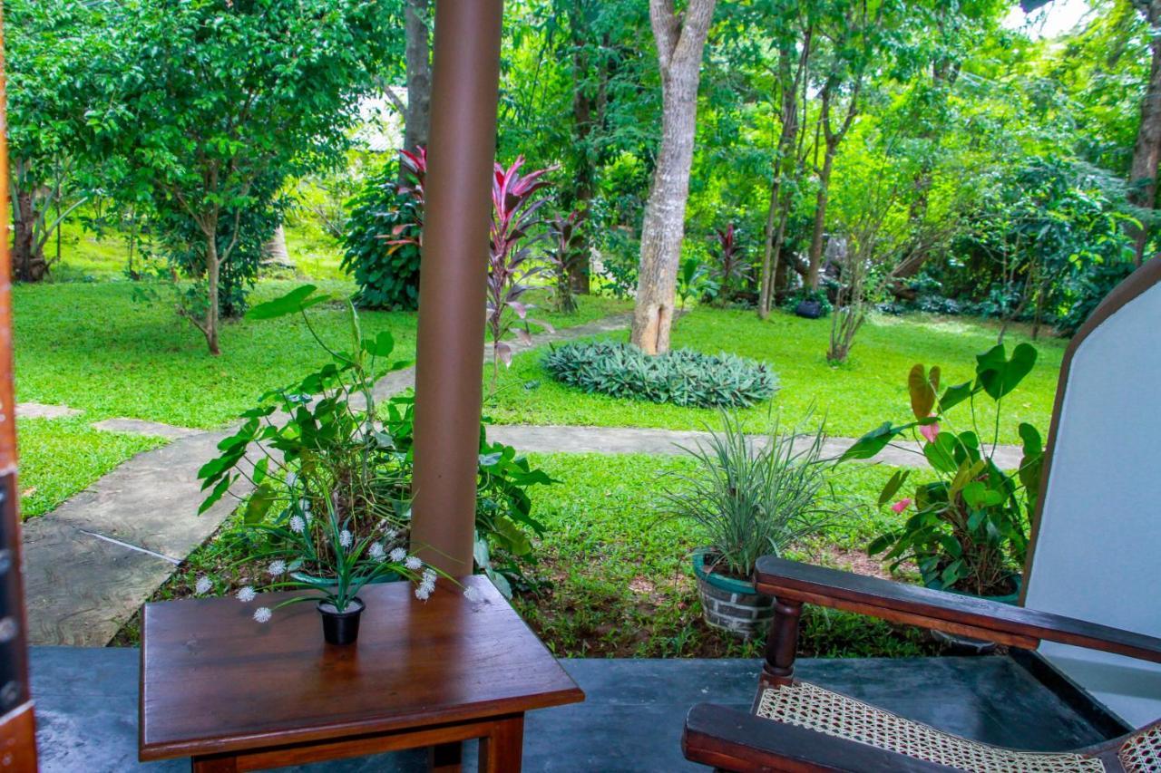 Nimsara Lodge シギリヤ エクステリア 写真