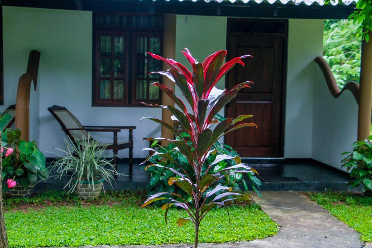 Nimsara Lodge シギリヤ エクステリア 写真