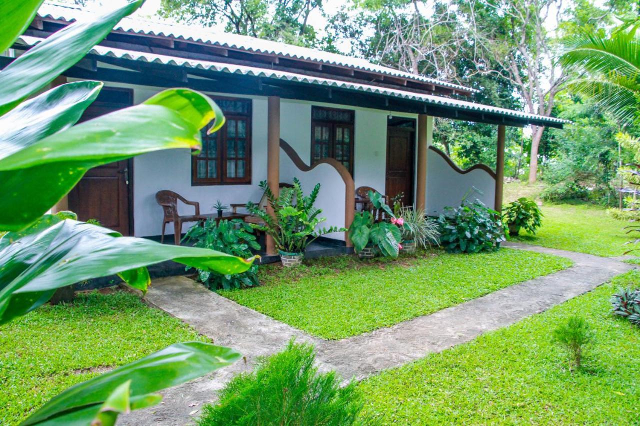 Nimsara Lodge シギリヤ エクステリア 写真