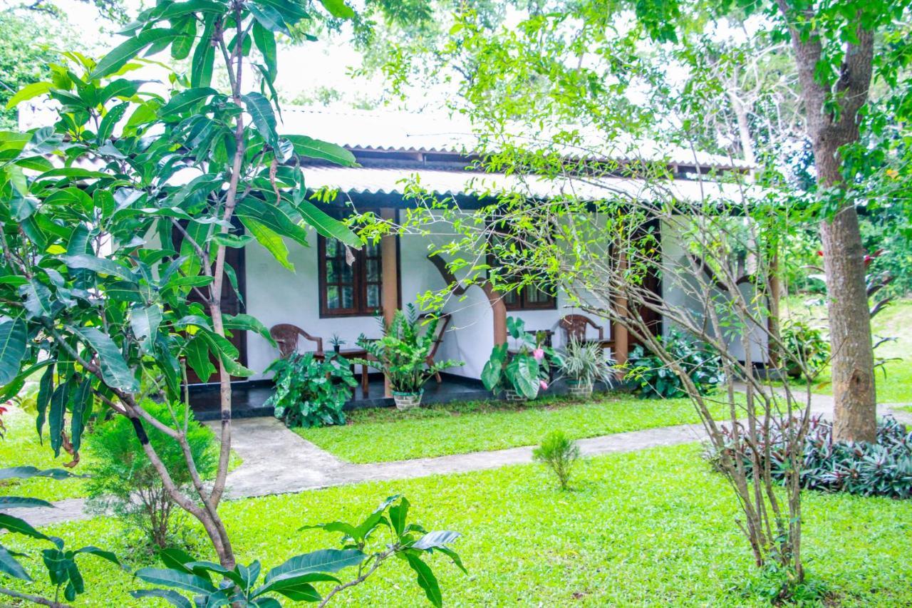 Nimsara Lodge シギリヤ エクステリア 写真