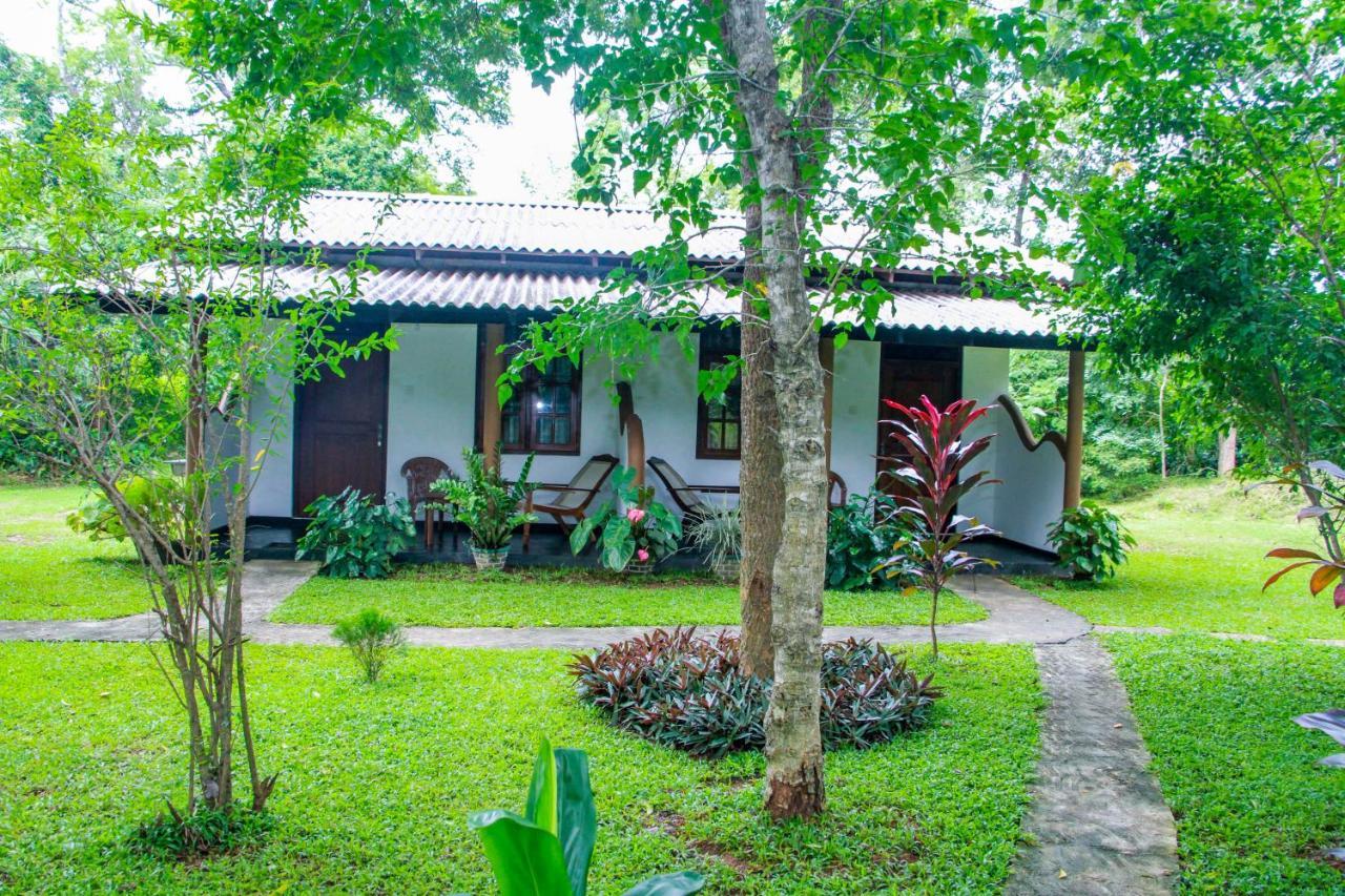 Nimsara Lodge シギリヤ エクステリア 写真