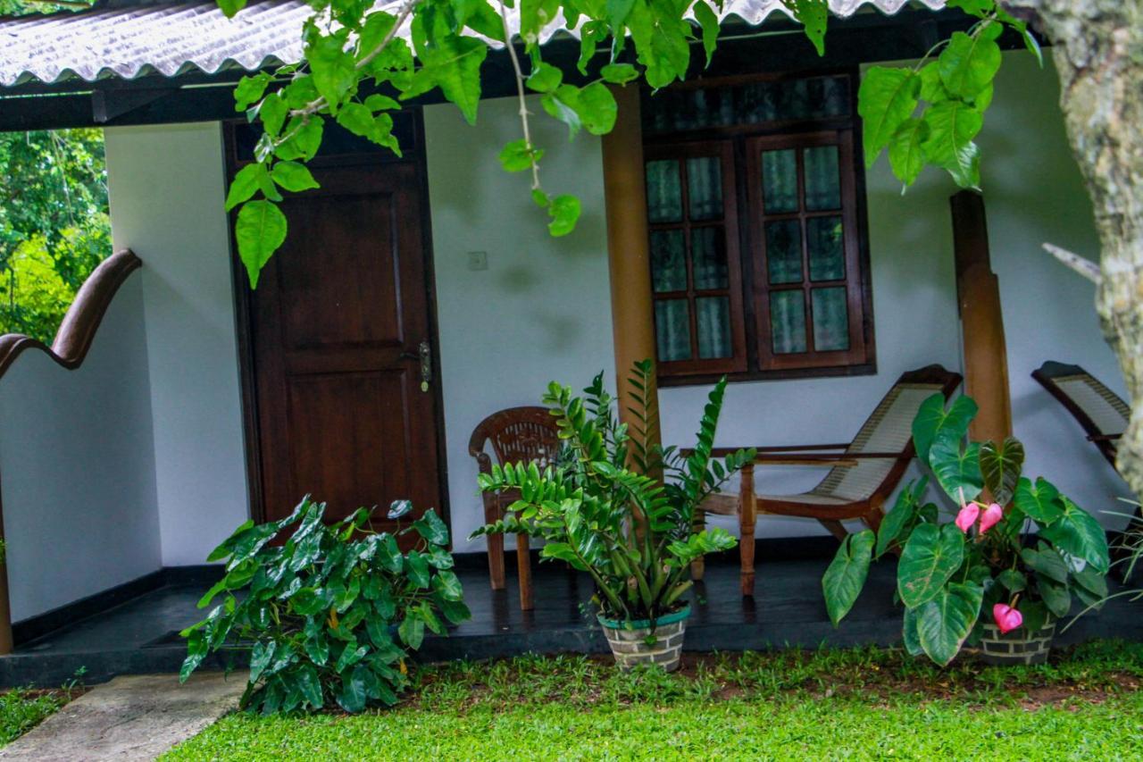 Nimsara Lodge シギリヤ エクステリア 写真