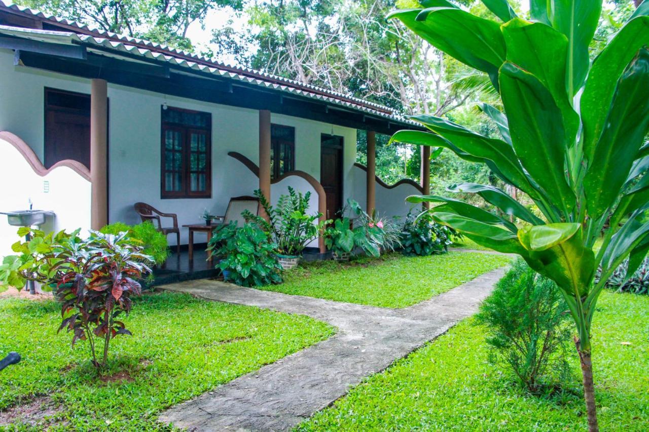 Nimsara Lodge シギリヤ エクステリア 写真